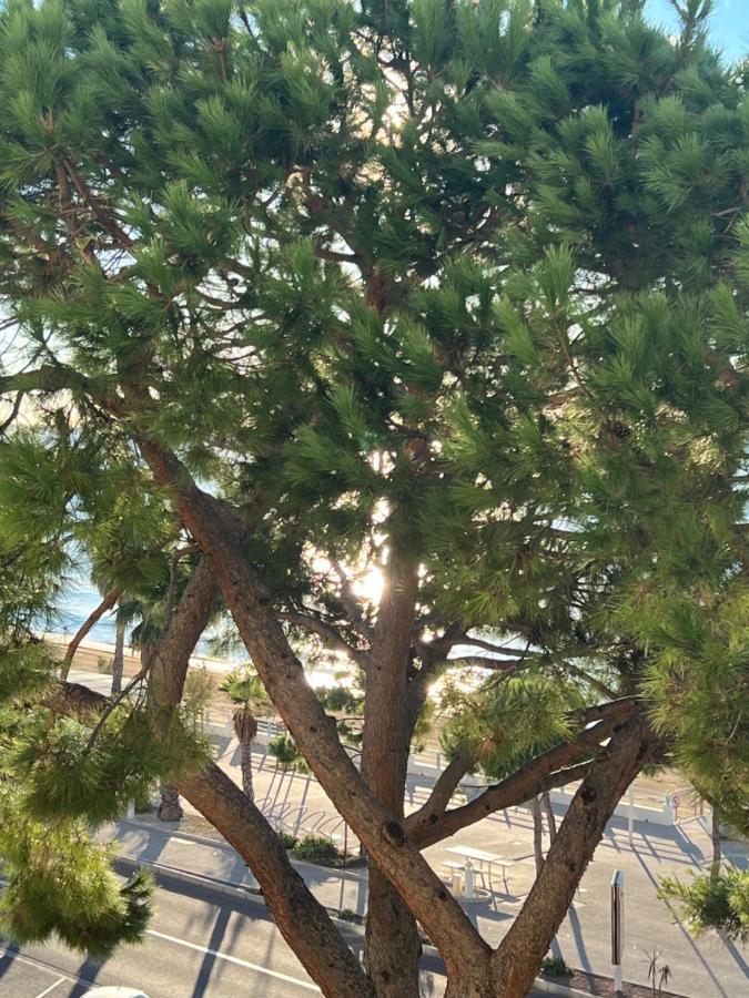 Vacances Paradisiaques, Plage Cannes Boccacabana, Studio Dış mekan fotoğraf