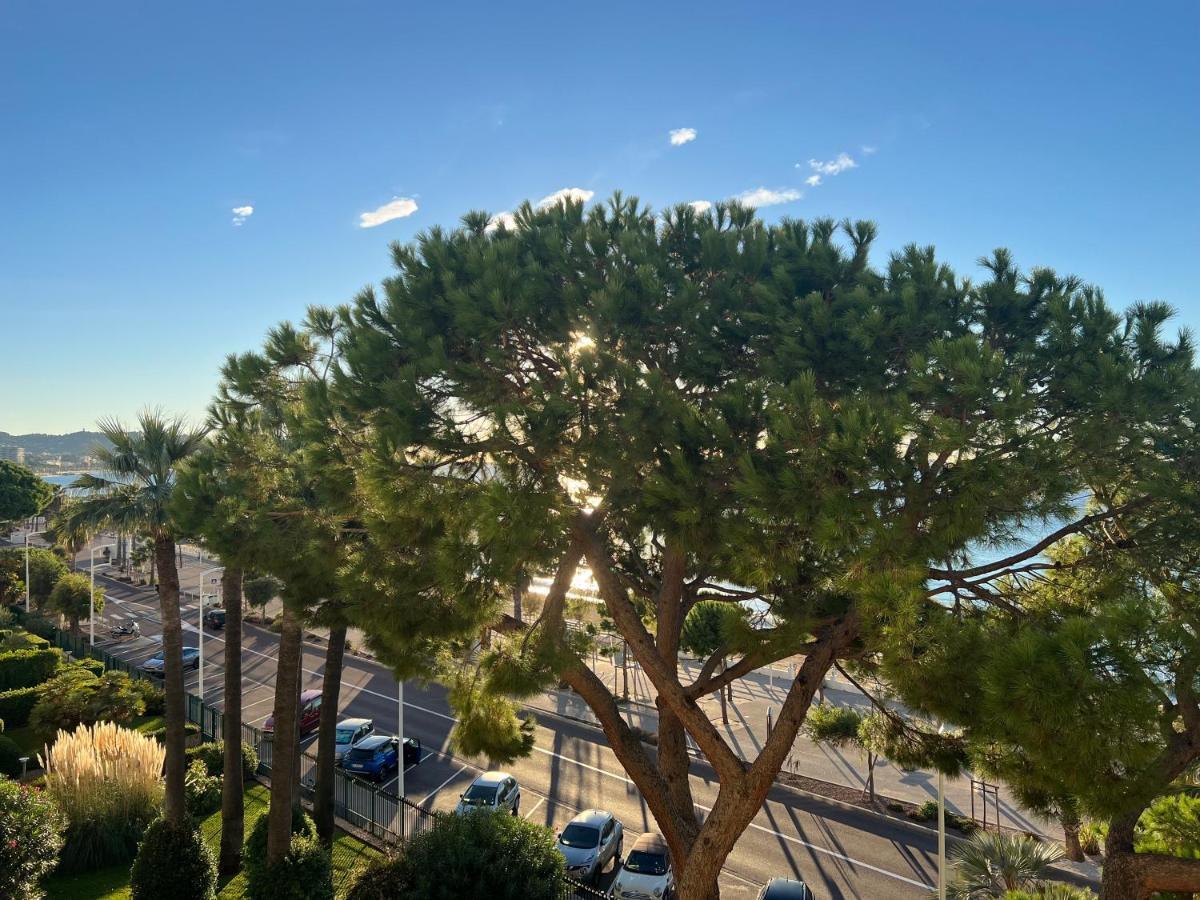 Vacances Paradisiaques, Plage Cannes Boccacabana, Studio Dış mekan fotoğraf