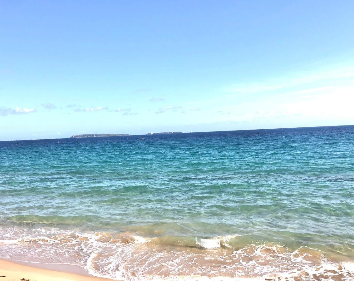 Vacances Paradisiaques, Plage Cannes Boccacabana, Studio Dış mekan fotoğraf